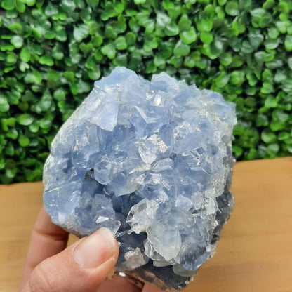 Celestite Crystal Cluster